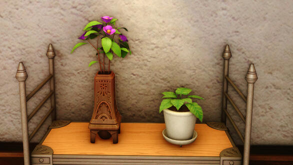 Tea Flower