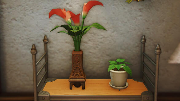 Arums