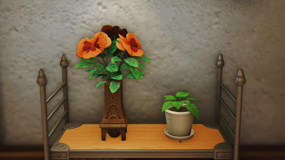 Violas