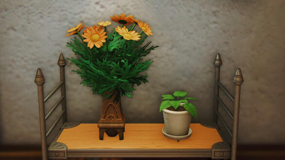 Daisies