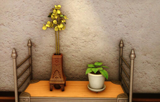 Paperflower