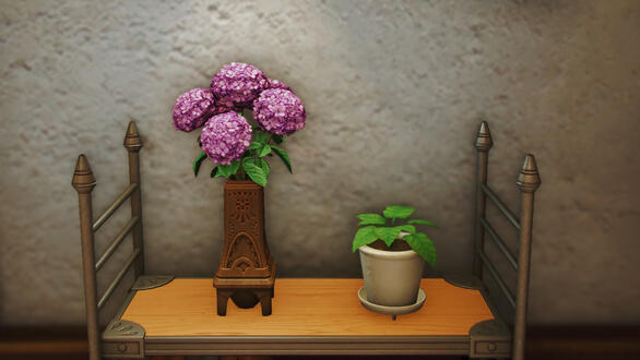 Hydrangeas